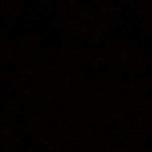 Meet your Posher, Zion